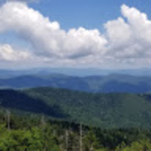 Meet your Posher, Pearl